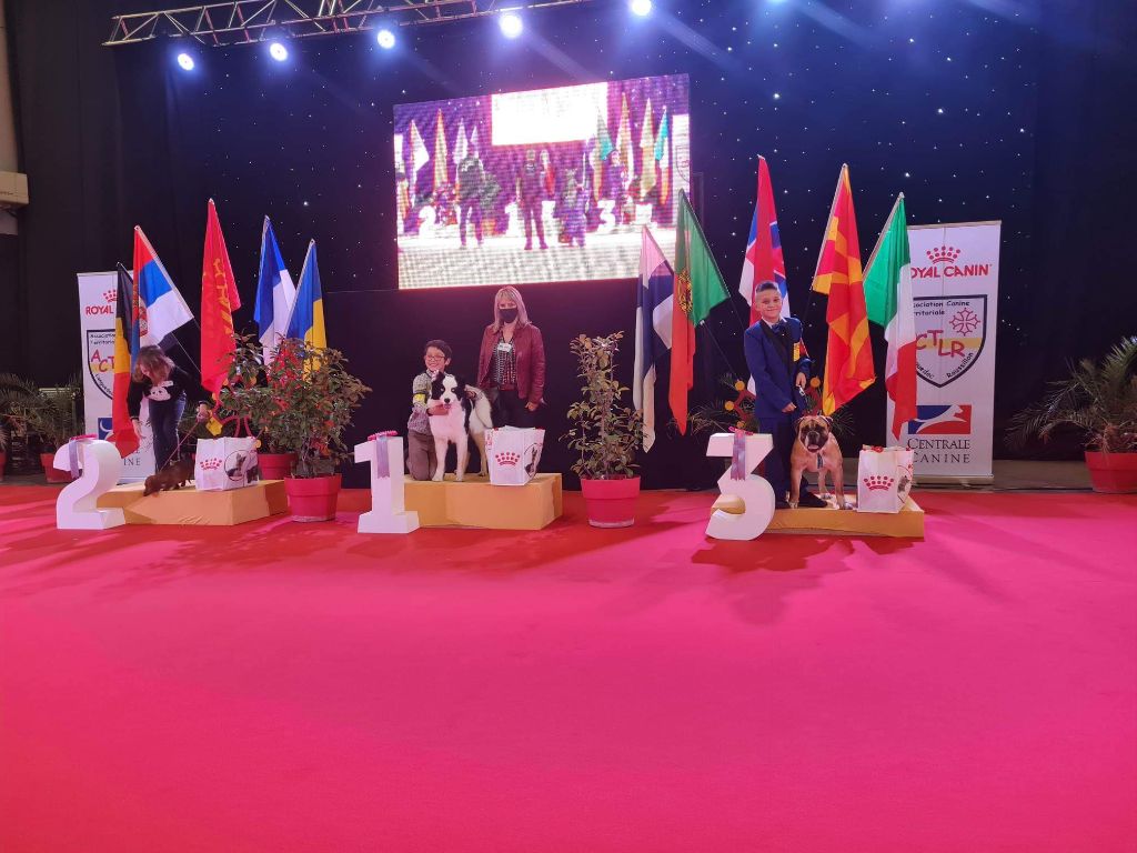 Des Diamants Noirs Del Matador - Elle connait que les podium depuis sa premiere exposition 