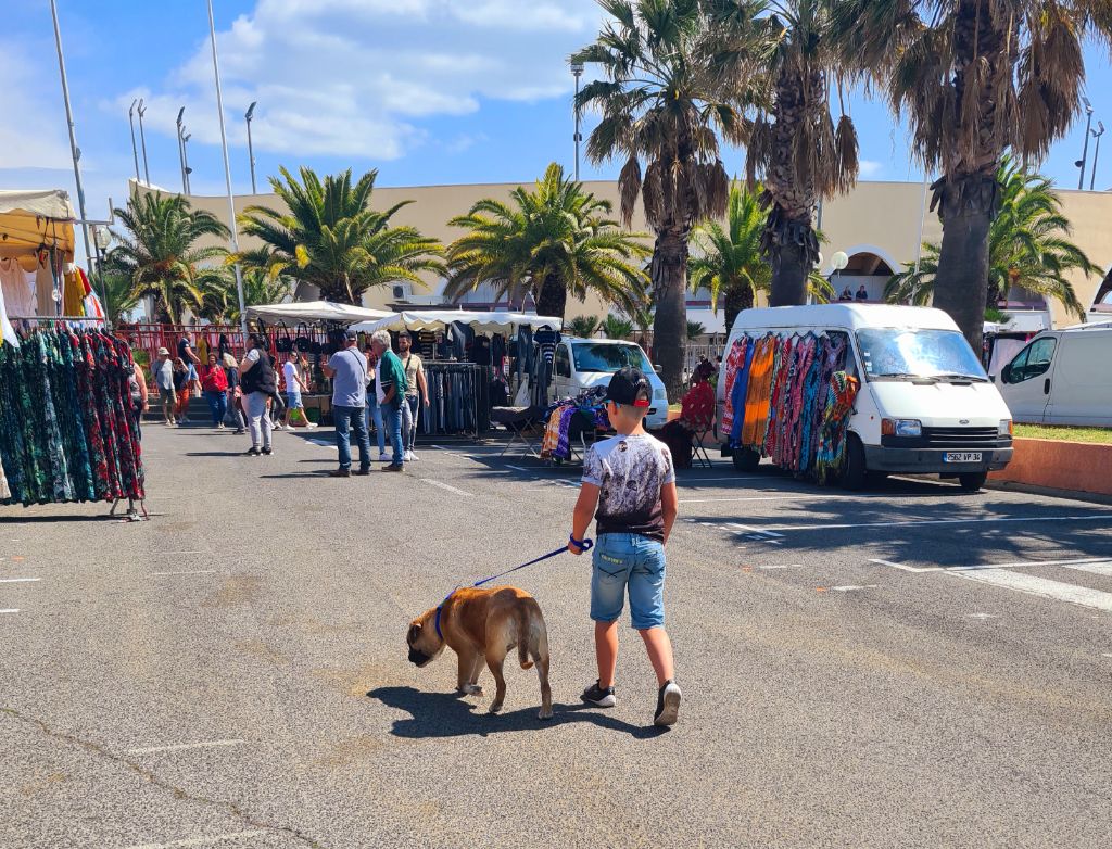 Des Diamants Noirs Del Matador - Apres les expos on promene