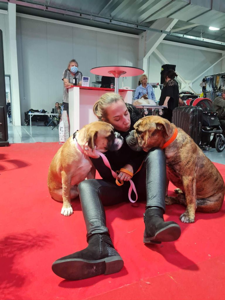 Shakyra Vom Weinberges Der Hunde