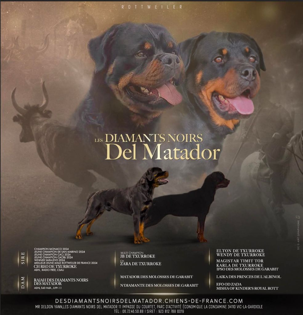 Des Diamants Noirs Del Matador - Chiots disponibles - Rottweiler